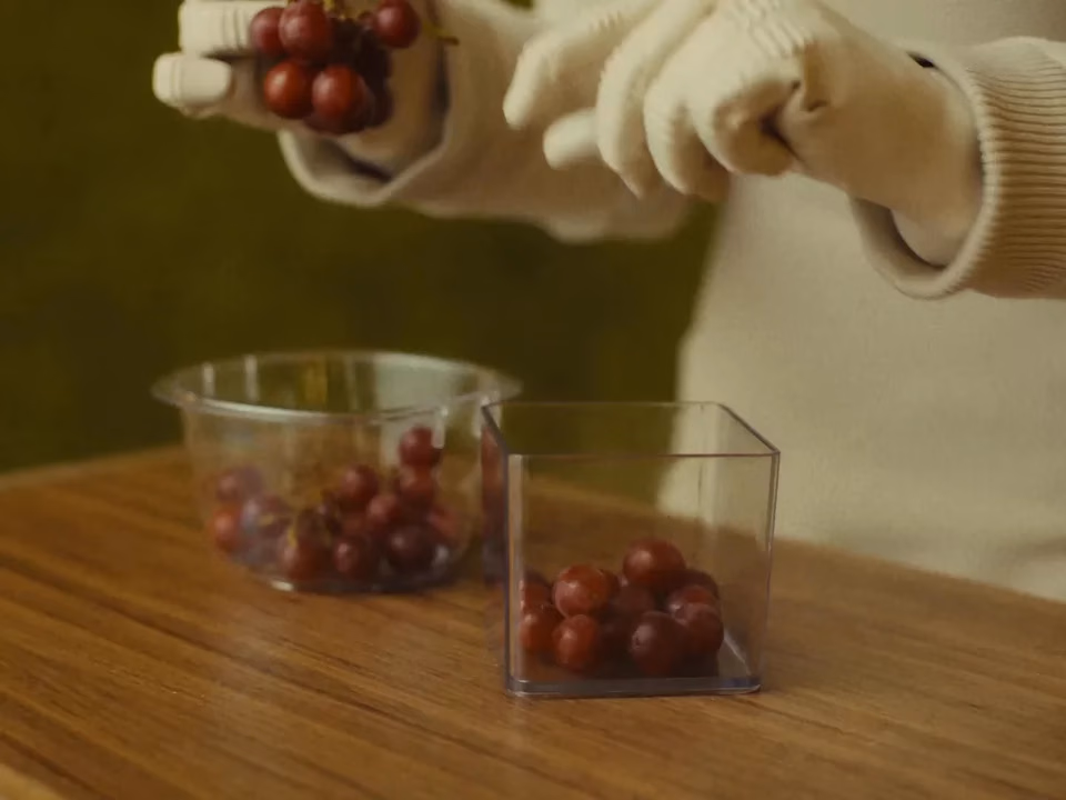 1X's NEO Hands