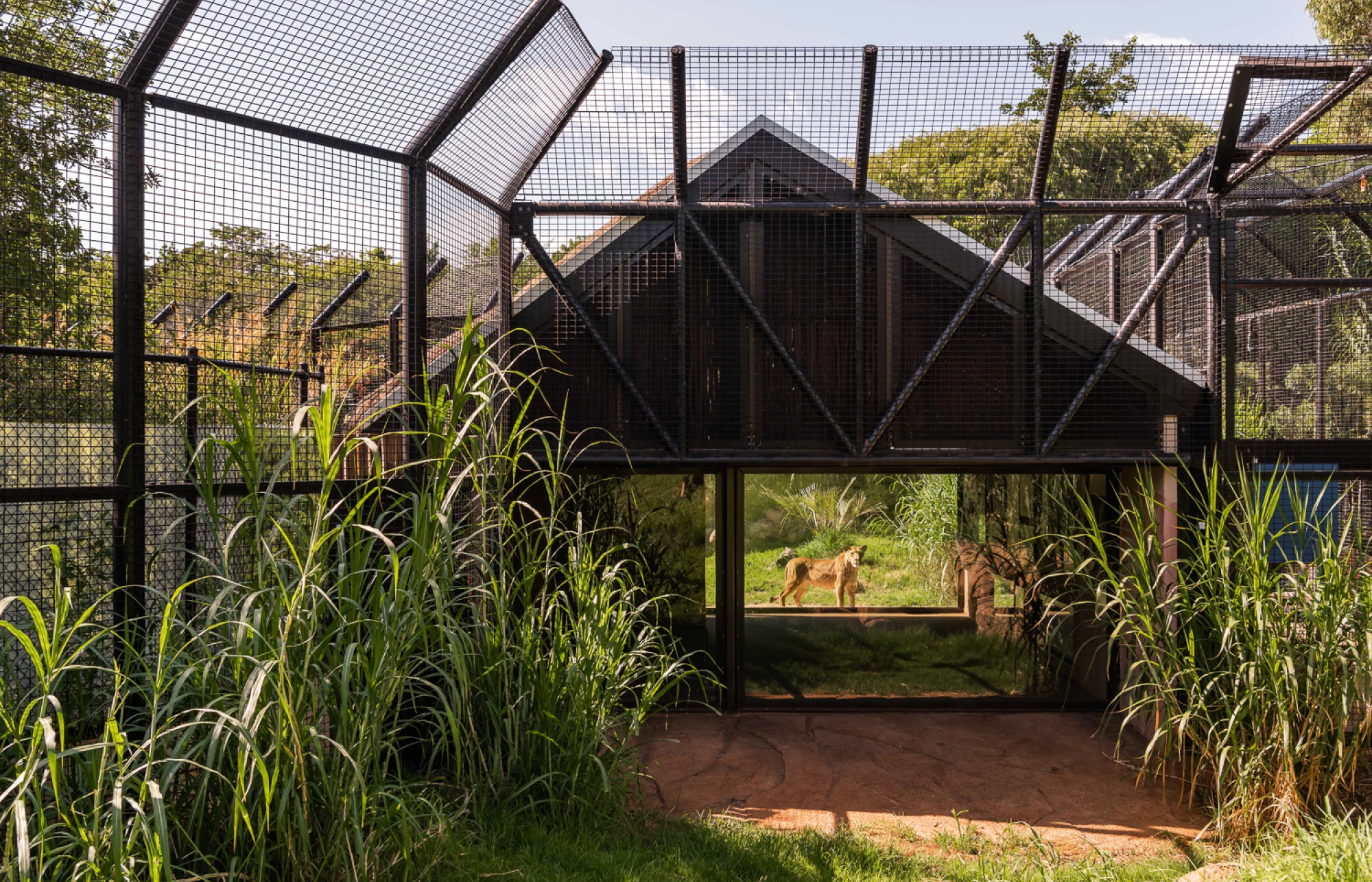 Zoo Architecture