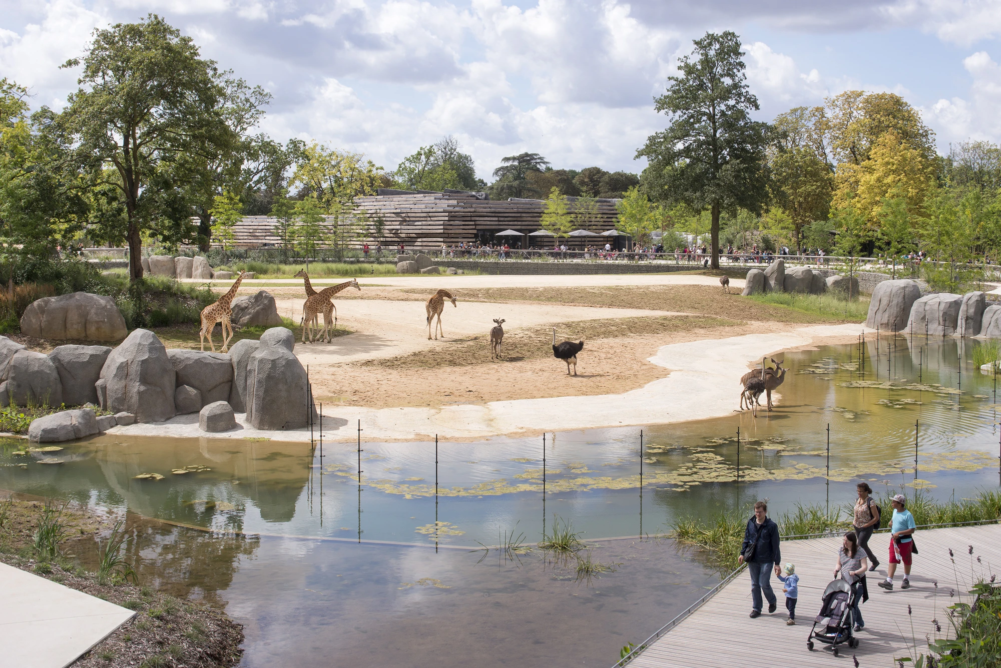 Zoo Architecture