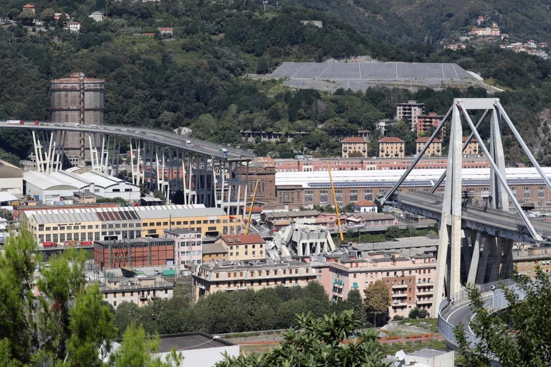 Morandi Bridge Collapse
