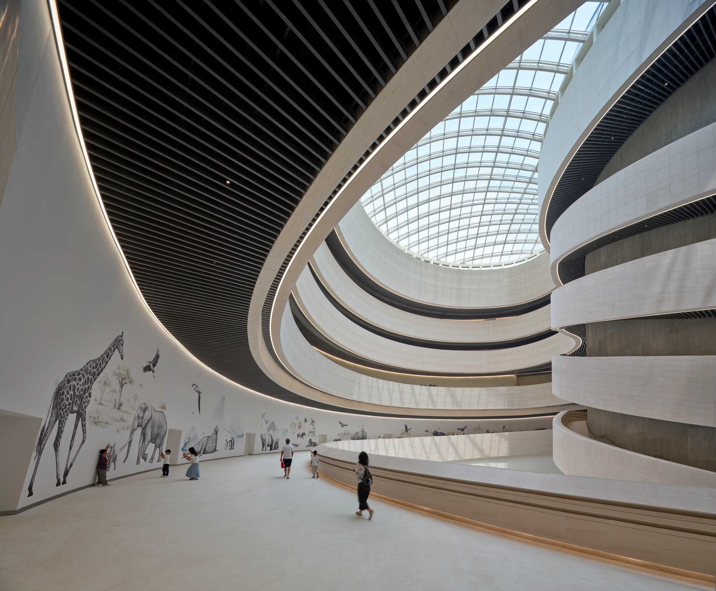 Shenzhen Natural History Museum