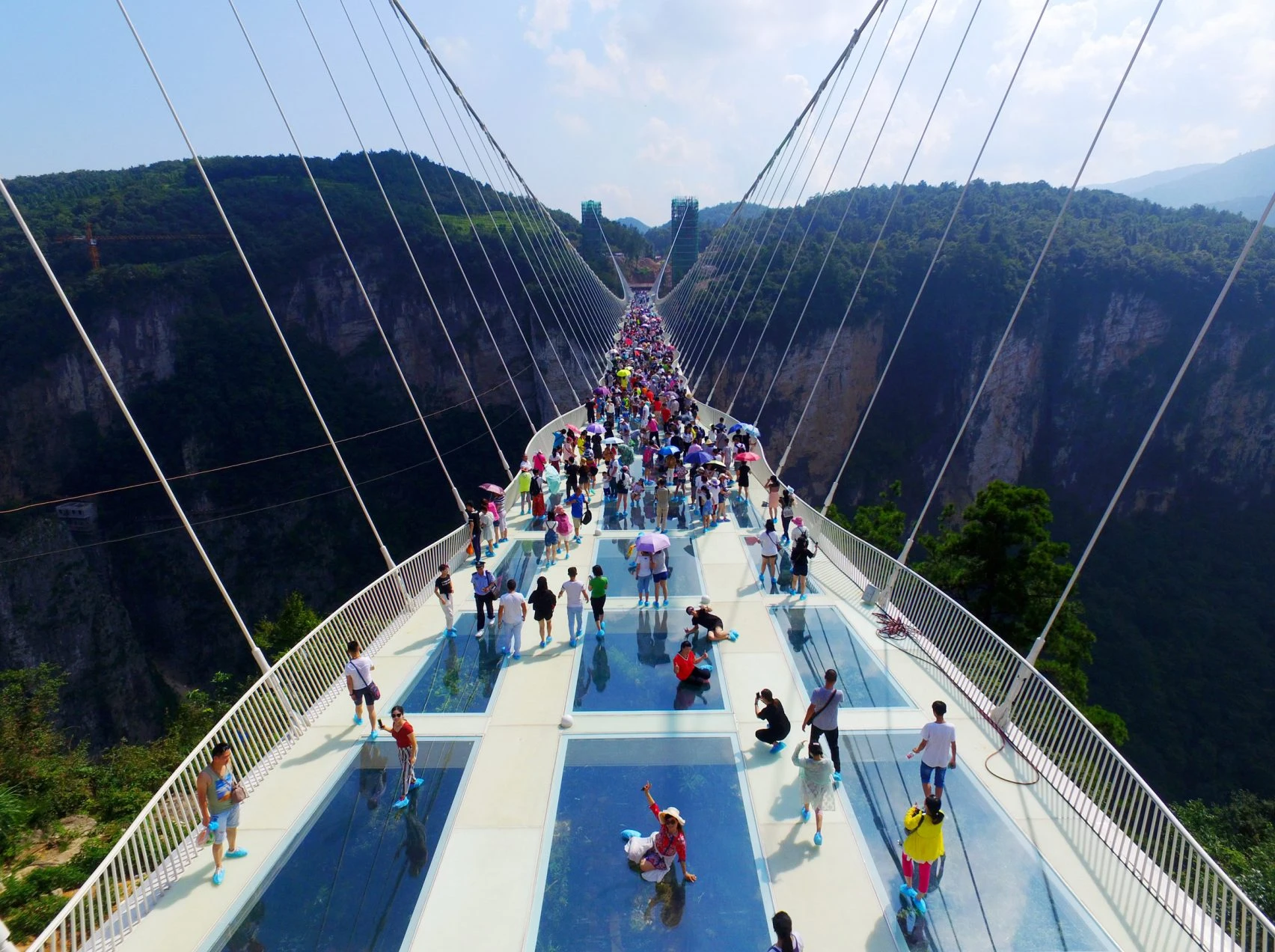 Glass Bridges